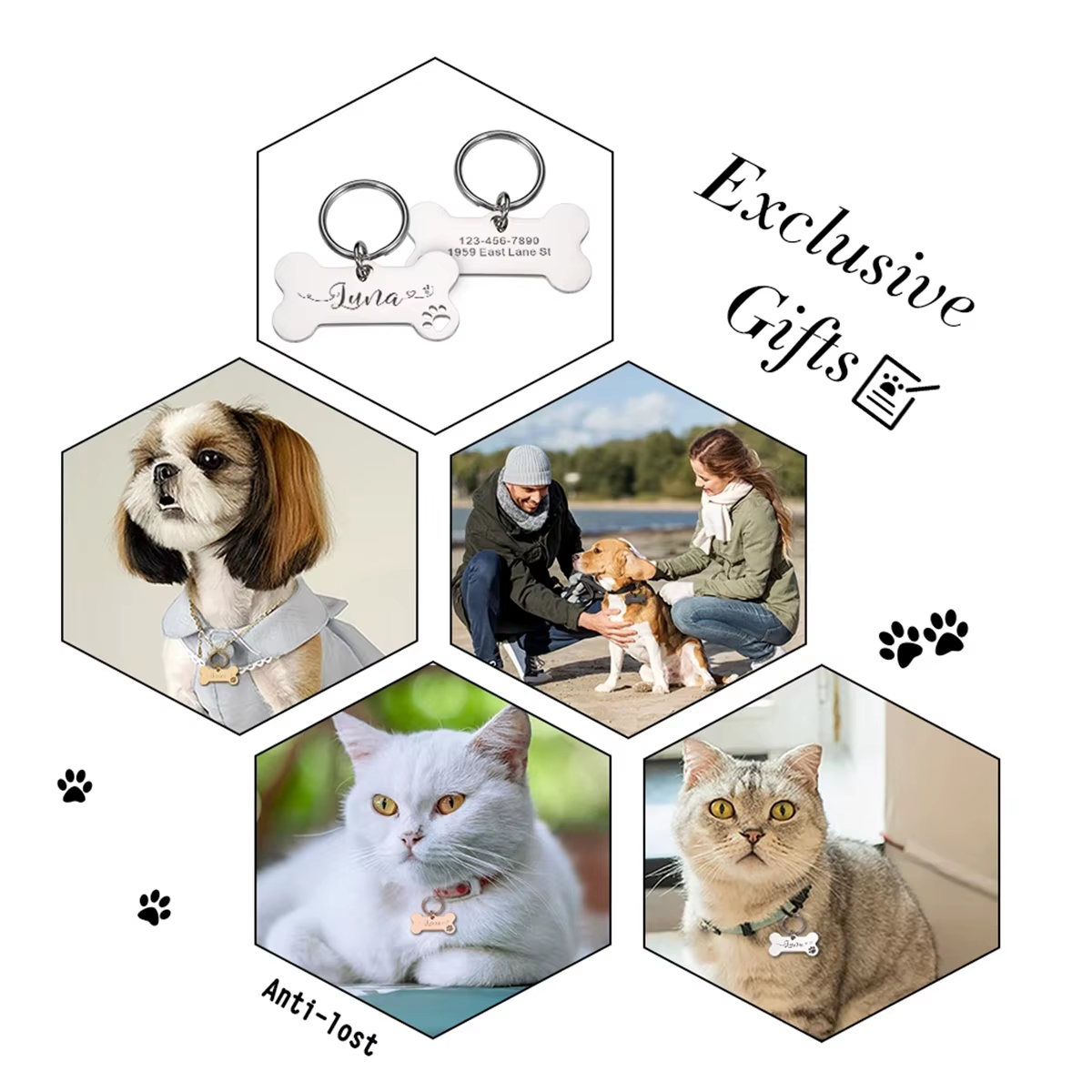 Pet Supplies