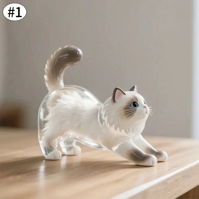 Cat Accessories Cat Whiskers Collector Cats Hair Storage Box Cute Cats Refrigerator Magnet Accessories for Cats