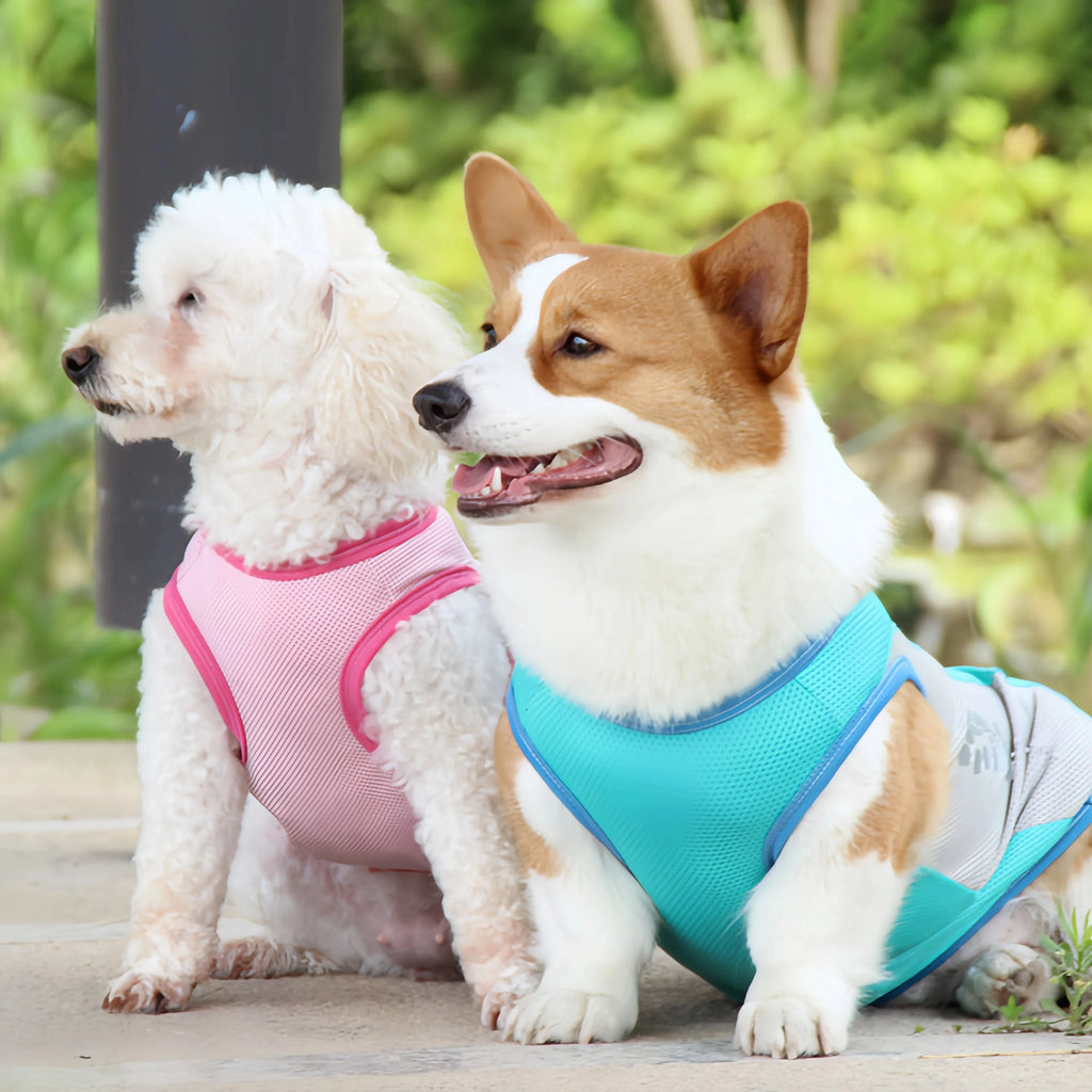 Summer Pet Dog Cooling Vest Quick Dry Pet Clothes Sun Protection Reflective Breathable Cats Outfit For Small Medium Large Dogs