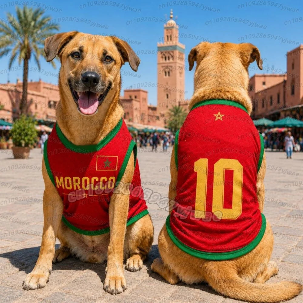 MOROCCO no.10 Mesh Dog cat Clothes Schnauzer Teddy Sport Large Dog Jersey football Clothing Puppy vest  Pet Cat sleeveless tee