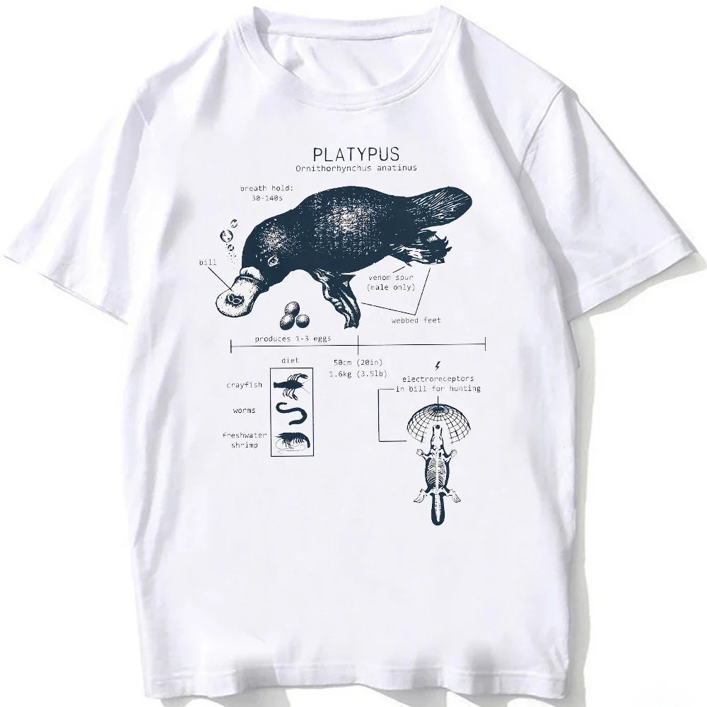 Whale Shark Anatomy Biology T-shirt Unisex Women Hip Hop Casual T Shirts Women Beach Diving White Tshirt Vintage women Tees