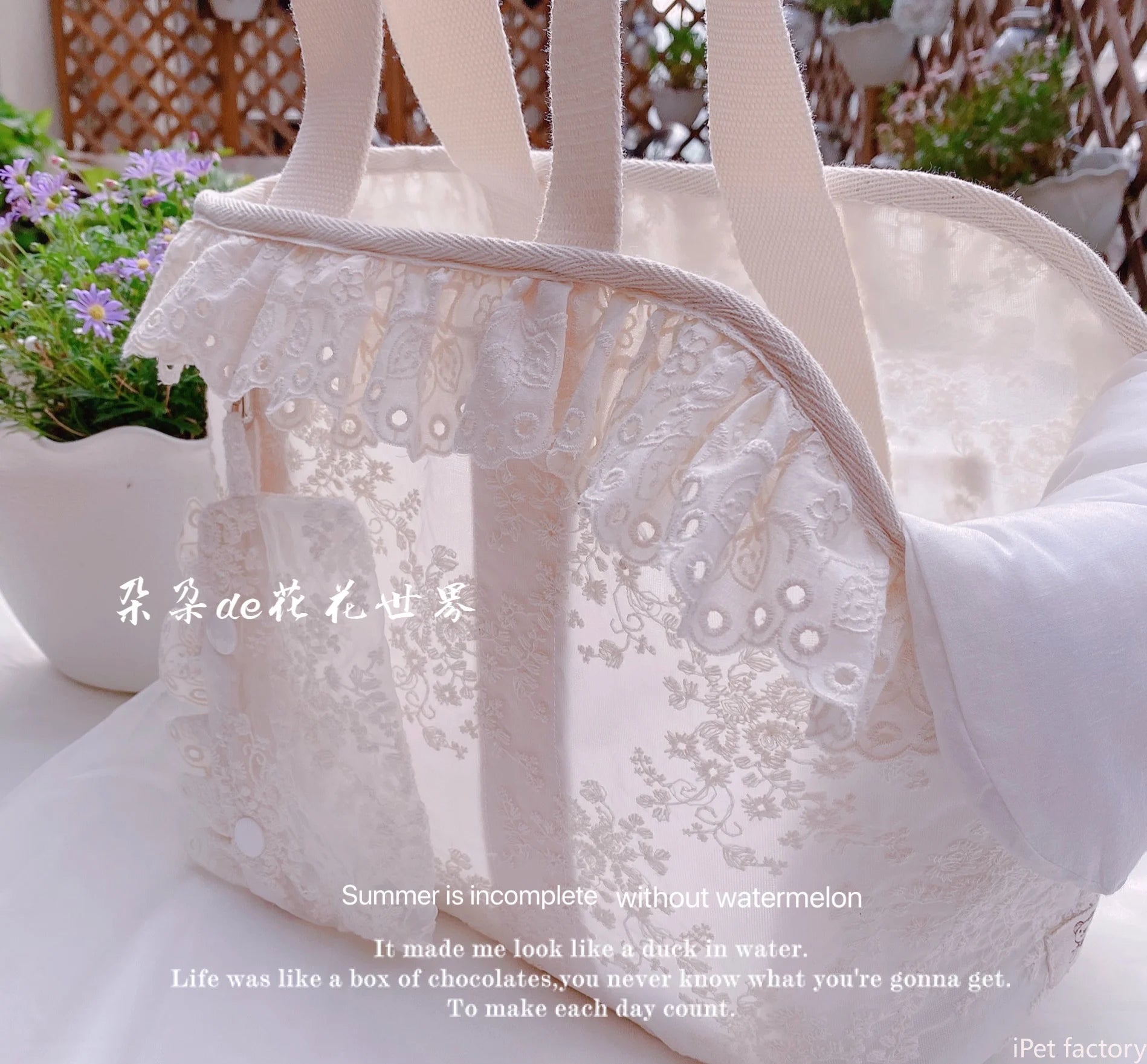 2025 Luxury Pet Backpack Carrier for Cat Dog Go Out Bag Teddy York Temperament Breathable Mesh Portable Puppy Dog Accessories