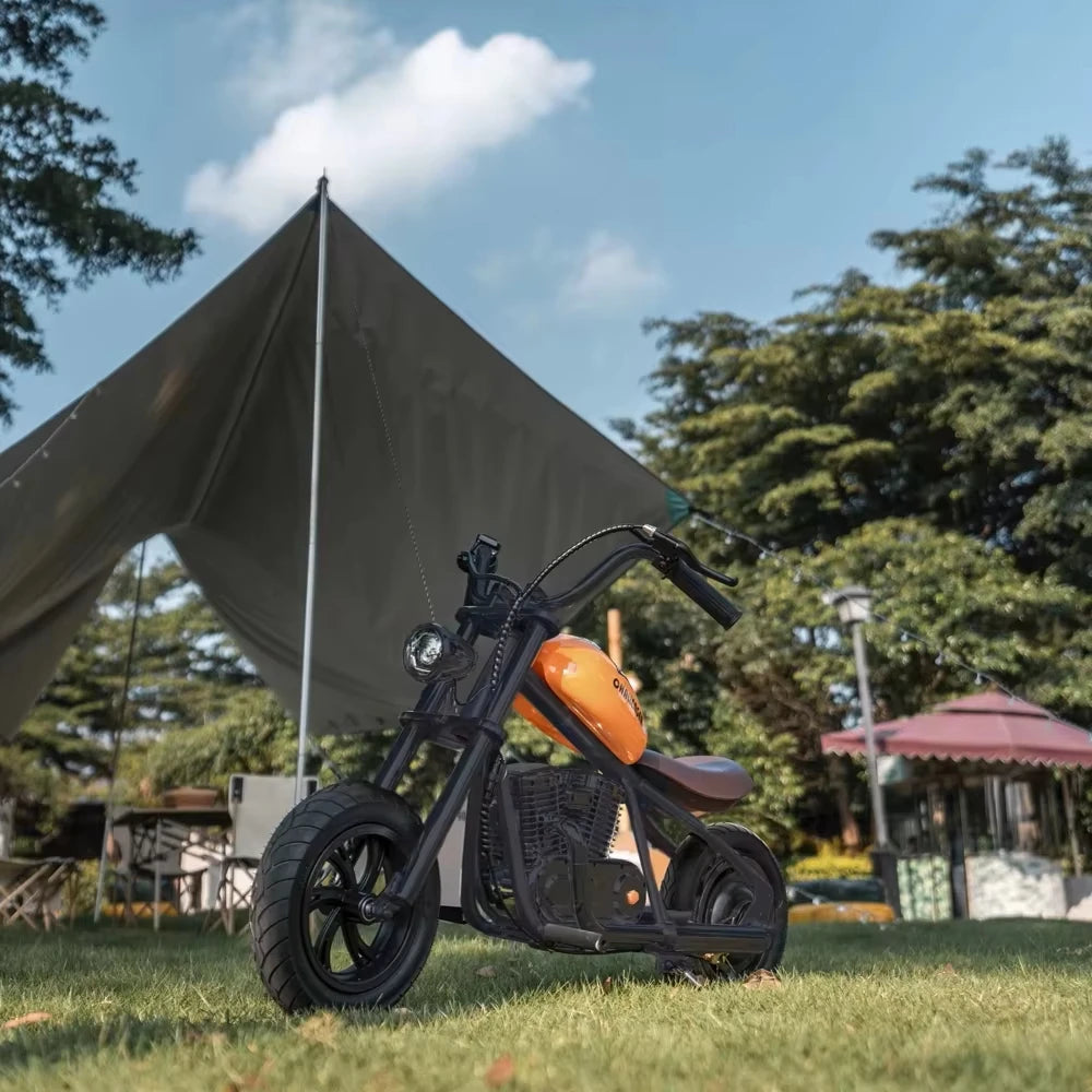 HYPER GOGO Challenger 12 Kids Electric Motorbike 160W 24V 5.2AH 12*3 In Tire Children Electric Motorcycle Mini Electric Scooter