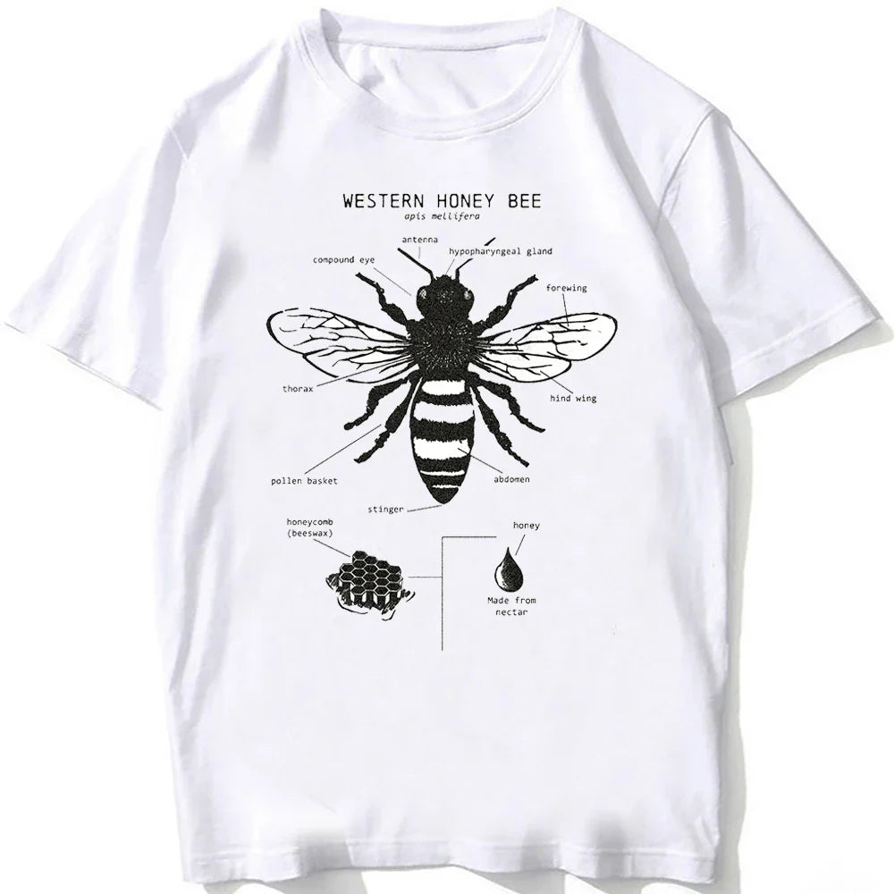 Whale Shark Anatomy Biology T-shirt Unisex Women Hip Hop Casual T Shirts Women Beach Diving White Tshirt Vintage women Tees