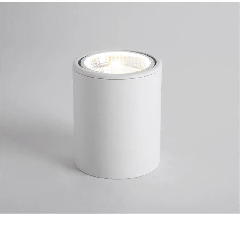 High Quality Rotating LED Downlight COB Surface Mounted Ceiling Lamp 25W20W15W12W10W7W AC110V 220V Adjustable Spot Light