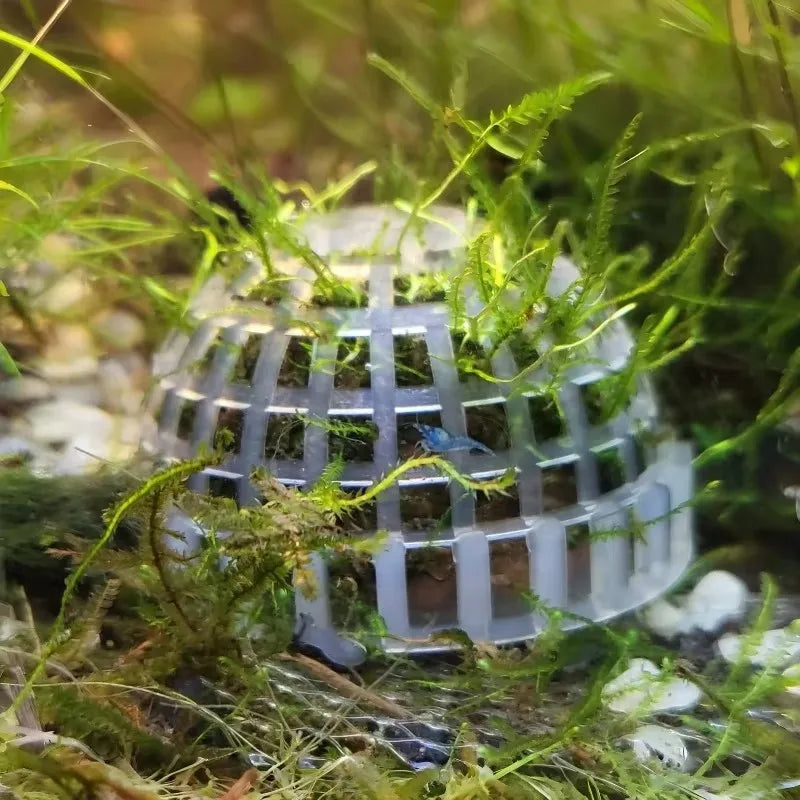 Aquarium Moss Ball Filter Aquatic Pet Supplies Decorations For Shrimps Fish Tank Pet Products Fish Tank Decor Plastic