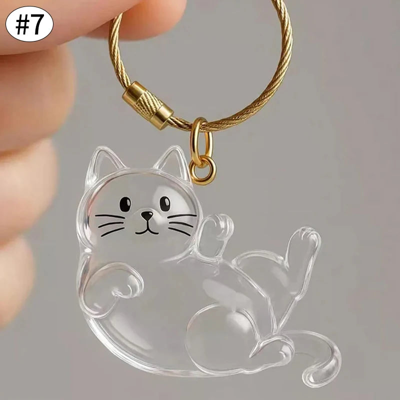 Cat Accessories Cat Whiskers Collector Cats Hair Storage Box Cute Cats Refrigerator Magnet Accessories for Cats