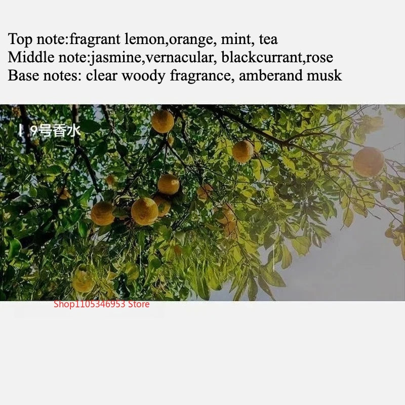 Air Freshener Replacement Capsule