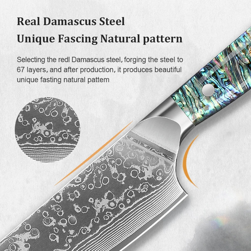 8-inch Professional Chef's Knife 67 Layer Damascus Steel VG10 Steel Core Super Sharp Meat Cleaver Abalone Shell Handle