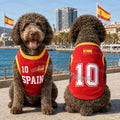 26 Summer Dog Clothes Spain FLAG print Basketball Clothes Puppy T-Shirt Summer Pet Cat Shirts For  soccer fans  Dogs CAT VEST