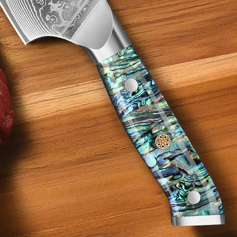 8-inch Professional Chef's Knife 67 Layer Damascus Steel VG10 Steel Core Super Sharp Meat Cleaver Abalone Shell Handle