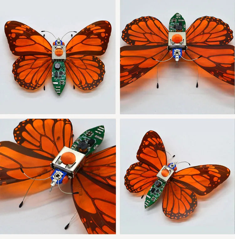 STEAM DIY Robotic Insects Science Invention Electronic Animal for School Competition Non-soldered DIY Kit Stem Toys Robot Animal