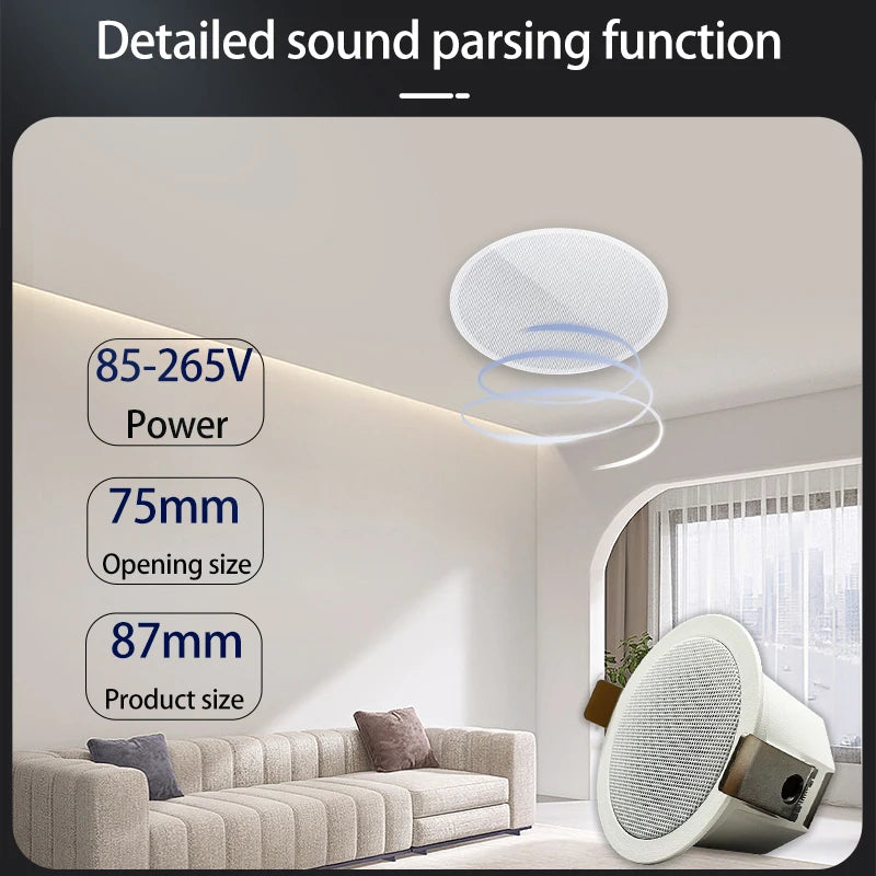 BS005D Mini 8ohm High Quality Professional  Surround Sound Bluetooth  LoudSpeakers  Smart Home System Speakers Ceiling Speaker