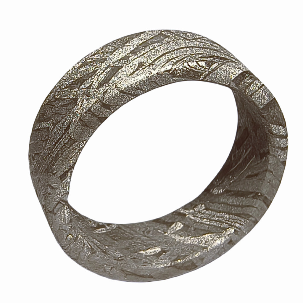 Muonionalusta meteorite Lovers ring Natural iron meteorite pendant MeteoriteHandmade wedding ring Meteorite  Ring-I