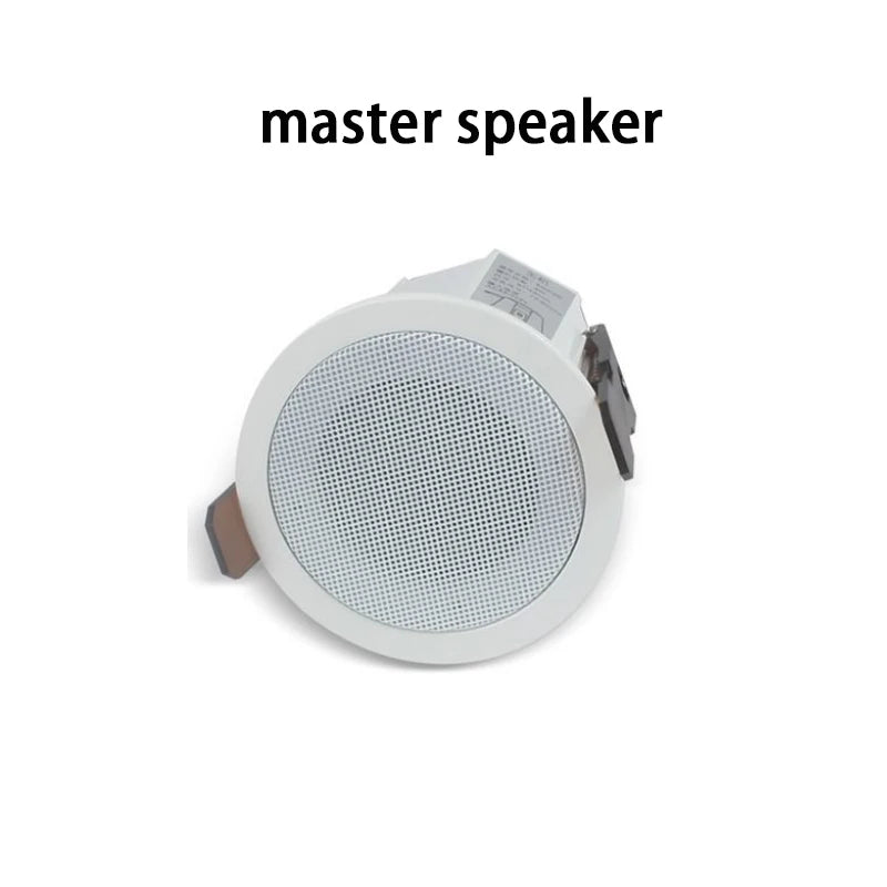 BS005D Mini 8ohm High Quality Professional  Surround Sound Bluetooth  LoudSpeakers  Smart Home System Speakers Ceiling Speaker