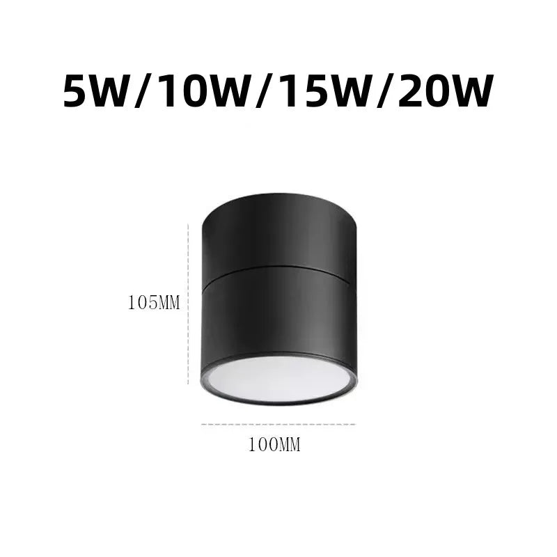 Dimmable Surface Mounted LED Downlight 10W/15W Rotating LED Spot Light Ceiling Lamp with LED Driver AC110V/220V Home Decoration