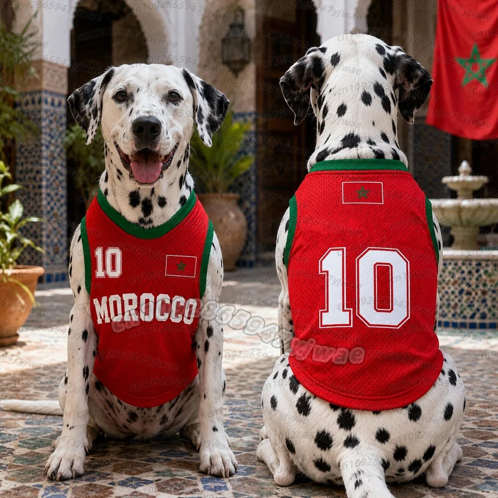 MOROCCO no.10 Mesh Dog cat Clothes Schnauzer Teddy Sport Large Dog Jersey football Clothing Puppy vest  Pet Cat sleeveless tee