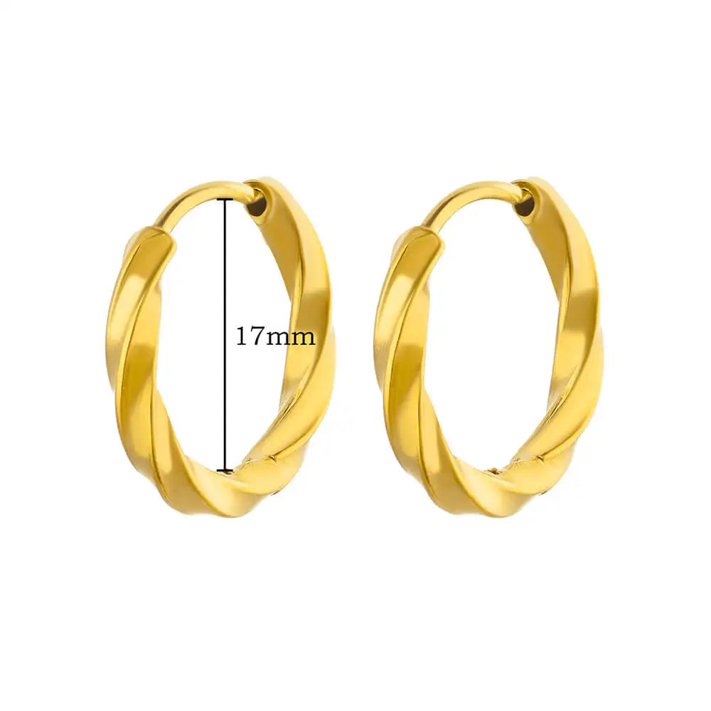 Vintage Chunky Round Earrings For Women Gold Color Stainless Steel Twisted Hoop Earring Statement Wedding Christmas Jewelry Gift