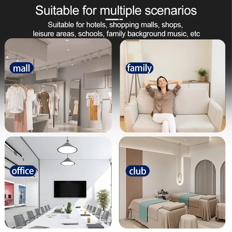 BS005D Mini 8ohm High Quality Professional  Surround Sound Bluetooth  LoudSpeakers  Smart Home System Speakers Ceiling Speaker