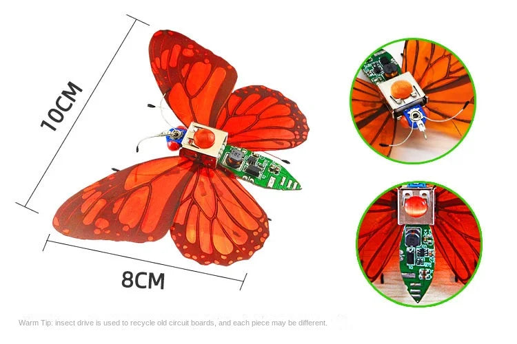 STEAM DIY Robotic Insects Science Invention Electronic Animal for School Competition Non-soldered DIY Kit Stem Toys Robot Animal
