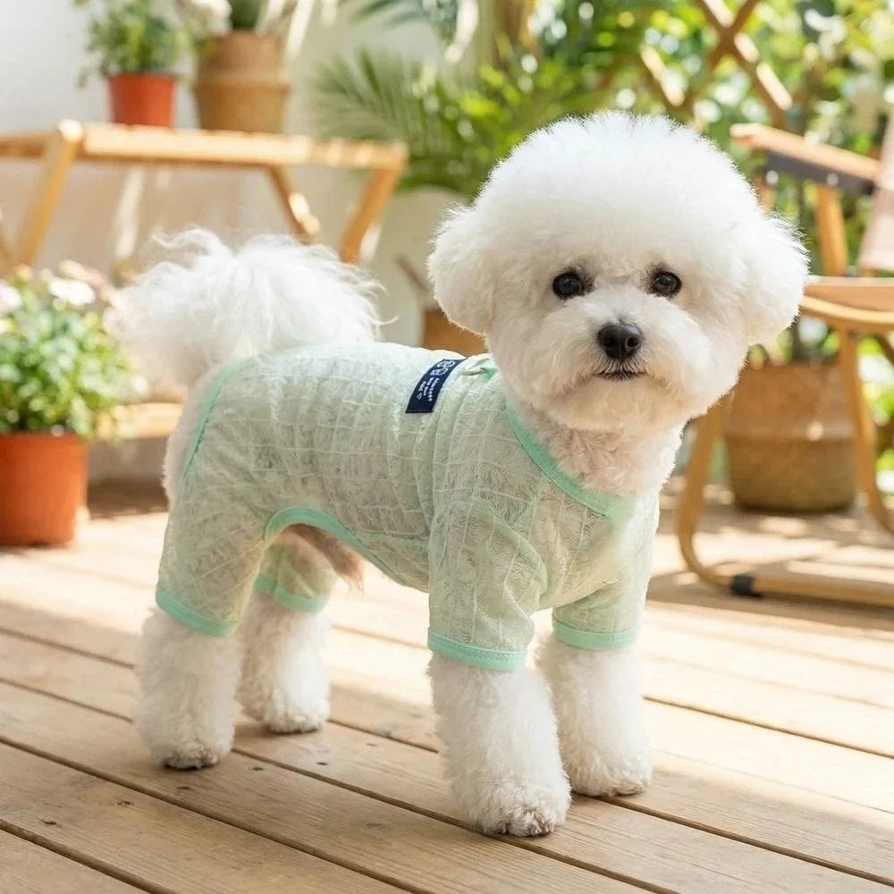 Cool Summer Wear Summer Thin Dog Clothes Breathable Hollow Mesh Dog Jumpsuit Airy Fabric Lightweight Pet Apparel Pet Daily Wear