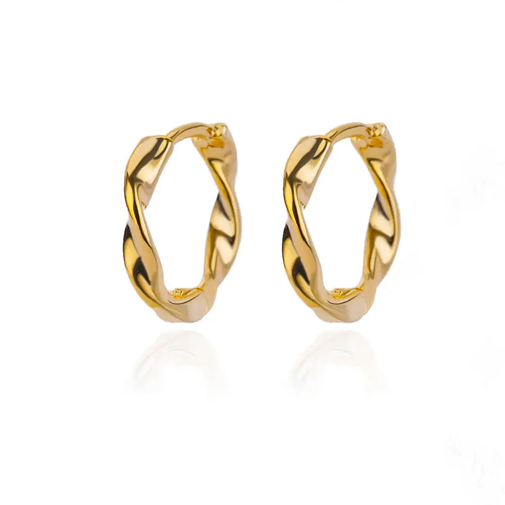Vintage Chunky Round Earrings For Women Gold Color Stainless Steel Twisted Hoop Earring Statement Wedding Christmas Jewelry Gift