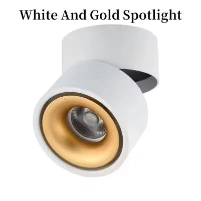 Dimmable Surface Mounted LED Downlight 10W/15W Rotating LED Spot Light Ceiling Lamp with LED Driver AC110V/220V Home Decoration