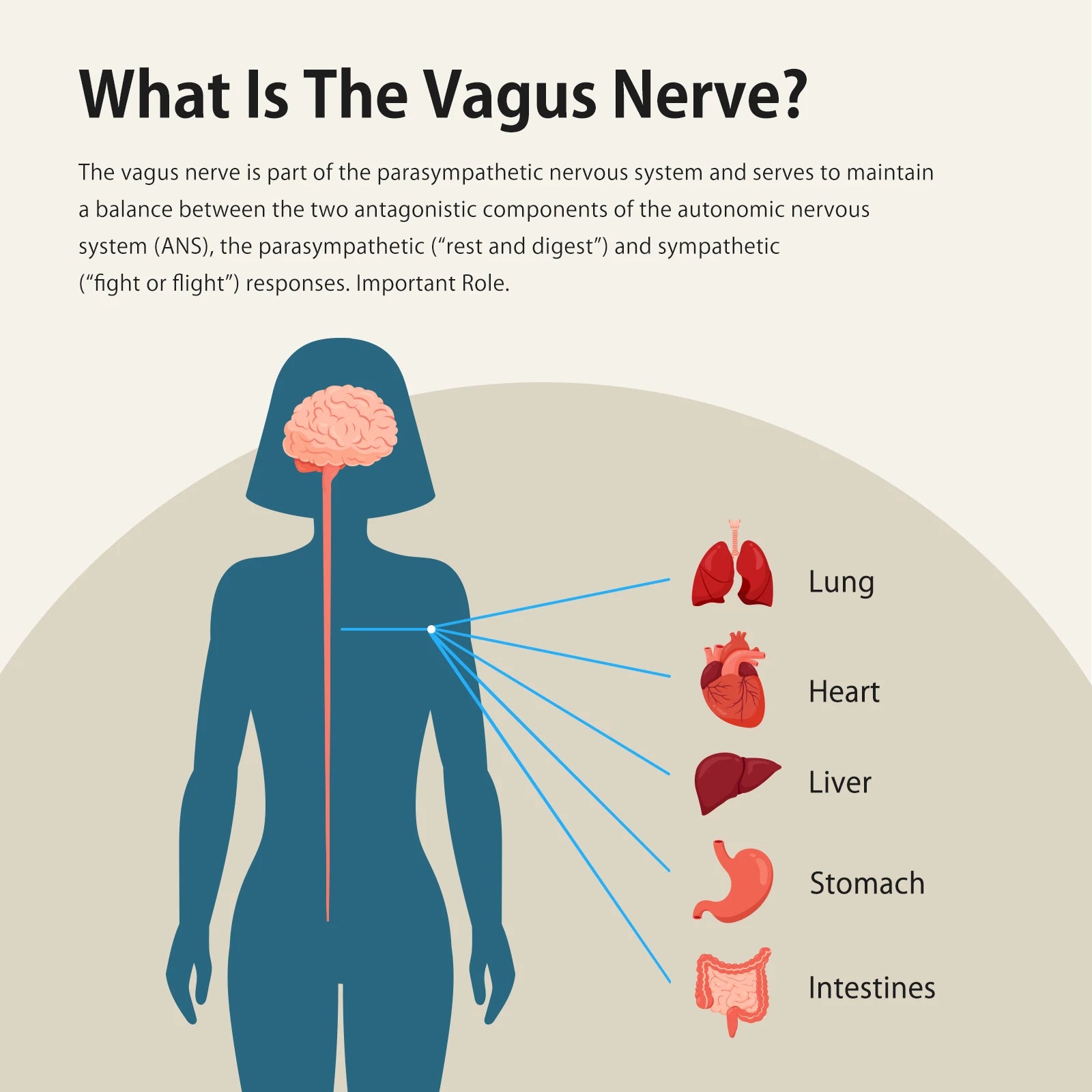 ZenoWell Vagus Nerve Stimulation Device,Restore Calm,Sleep Better,Stress Relief through Auricular Vagus Nerve Stimulator