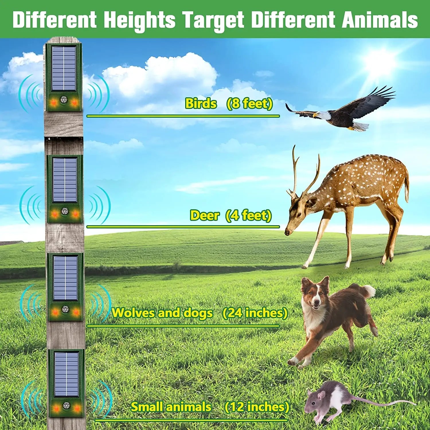 Solar Animal Repeller Ultrasonic Deterrence Two-Mode Adjustment IP66 Waterproof Suitable for Courtyard Garden