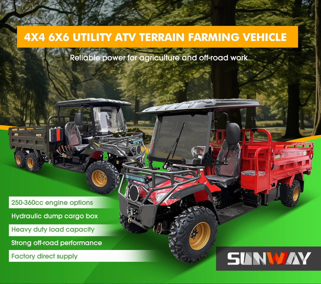 4x4 Off-Road ATV UTV Utility Vehicle 2-Seater Farm ATV UTV with Certifications