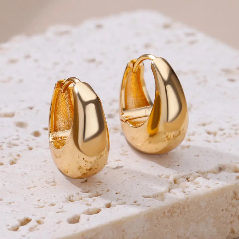 Vintage Chunky Round Earrings For Women Gold Color Stainless Steel Twisted Hoop Earring Statement Wedding Christmas Jewelry Gift
