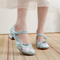 Shoes for Women Embroidery Ethnic Style Traditional Old Beijing Streetwear Dance Vintage Cheongsam Chinese Style Hanfu Qi Pao