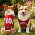 MOROCCO no.10 Mesh Dog cat Clothes Schnauzer Teddy Sport Large Dog Jersey football Clothing Puppy vest  Pet Cat sleeveless tee