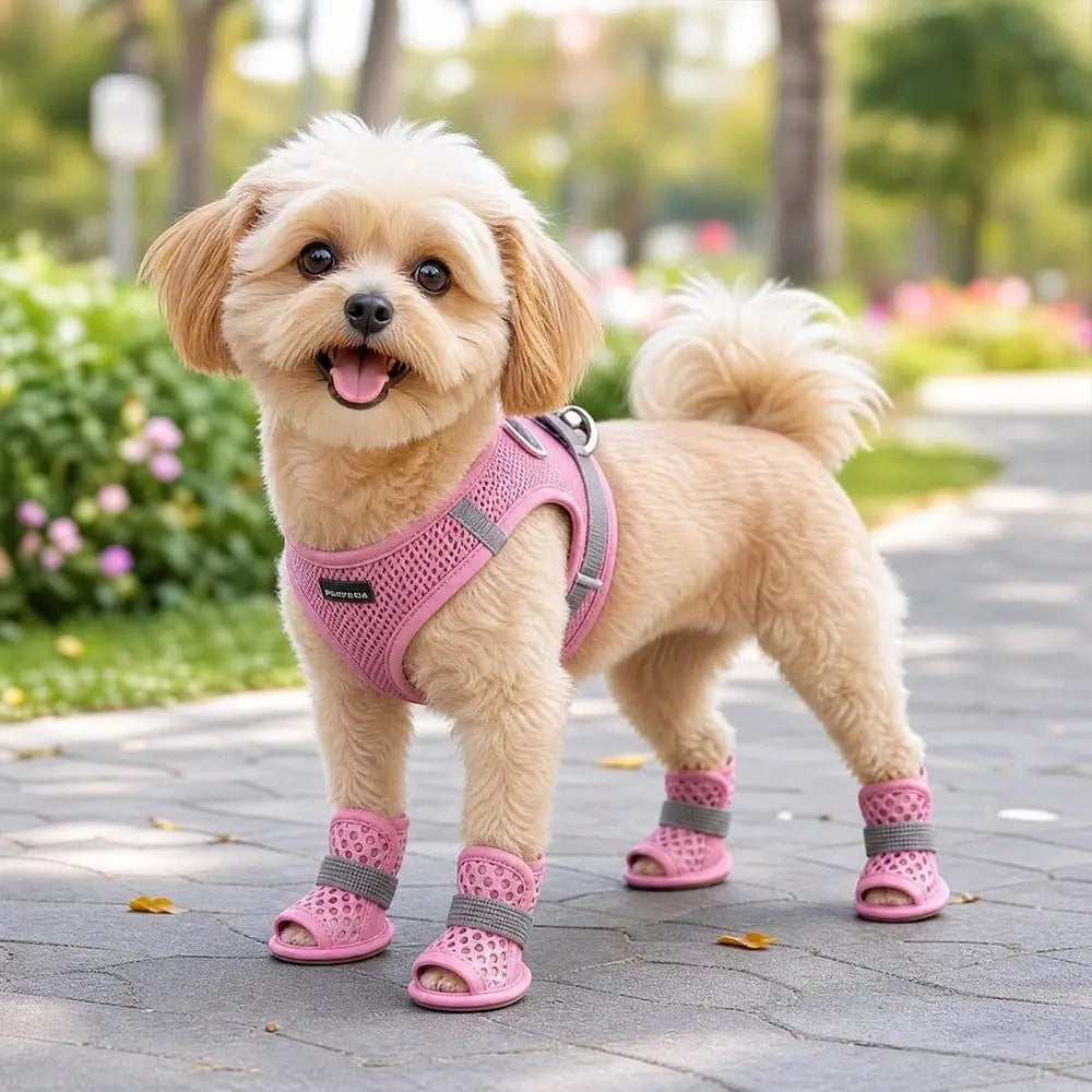 4Pcs Portable Mesh Dog Shoes Soft-sole Non-slip Cooling Dog Boots Wear-resistant Breathable Dog Foot Cover Summer