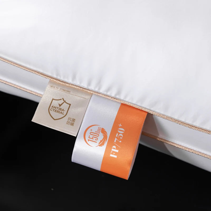 Feather Down Pillow 95% Goose Down 28x20 Inch 1200TC Pima Cotton Silent Sleep