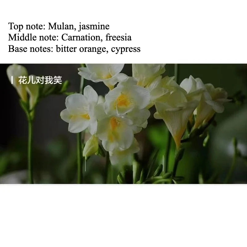 Original Factory Air Freshener System Capsule Fragrance Replacement Cartridge Fragrance For ZEEKR 001 009  X 9X  Car Accessories