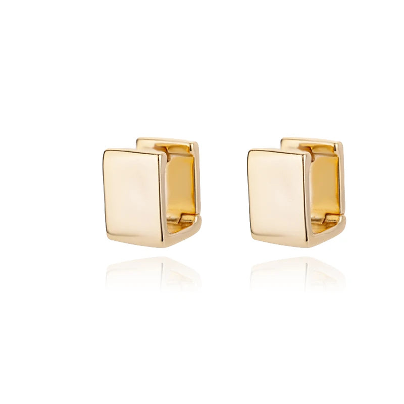 Vintage Chunky Round Earrings For Women Gold Color Stainless Steel Twisted Hoop Earring Statement Wedding Christmas Jewelry Gift