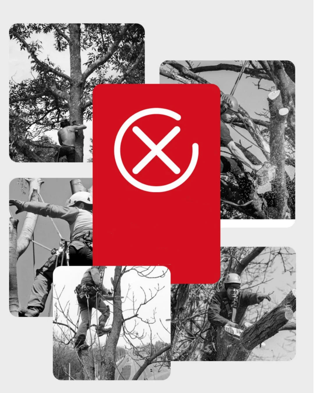3 M long telescopic rod pruning saw portable garden fruit tree pruning tool multi-functional high altitude high branch saw