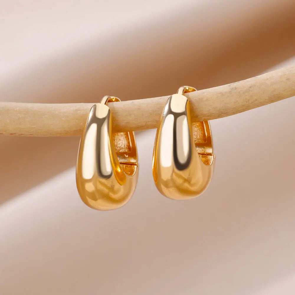 Vintage Chunky Round Earrings For Women Gold Color Stainless Steel Twisted Hoop Earring Statement Wedding Christmas Jewelry Gift