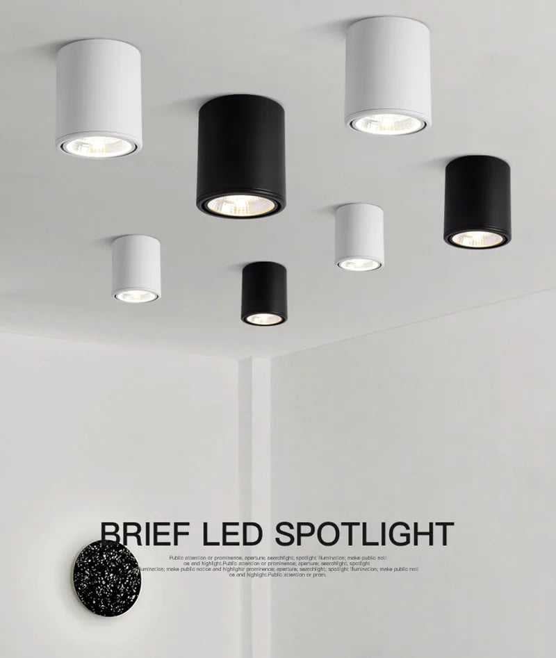 Plafonnier LED rotatif de haute qualité, encastré, COB, 25W/20W/15W/12W/10W/7W, CA 110V/220V, spot réglable