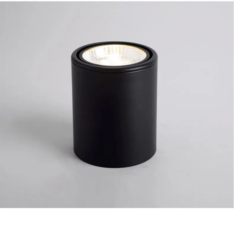 Plafonnier LED rotatif de haute qualité, encastré, COB, 25W/20W/15W/12W/10W/7W, CA 110V/220V, spot réglable
