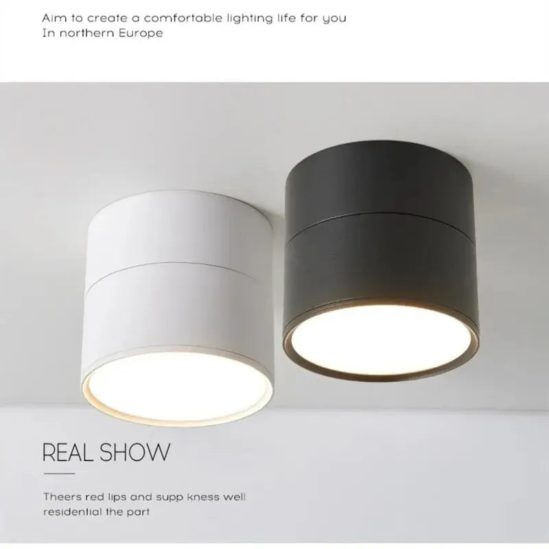 Dimmable Surface Mounted LED Downlight 10W/15W Rotating LED Spot Light Ceiling Lamp with LED Driver AC110V/220V Home Decoration